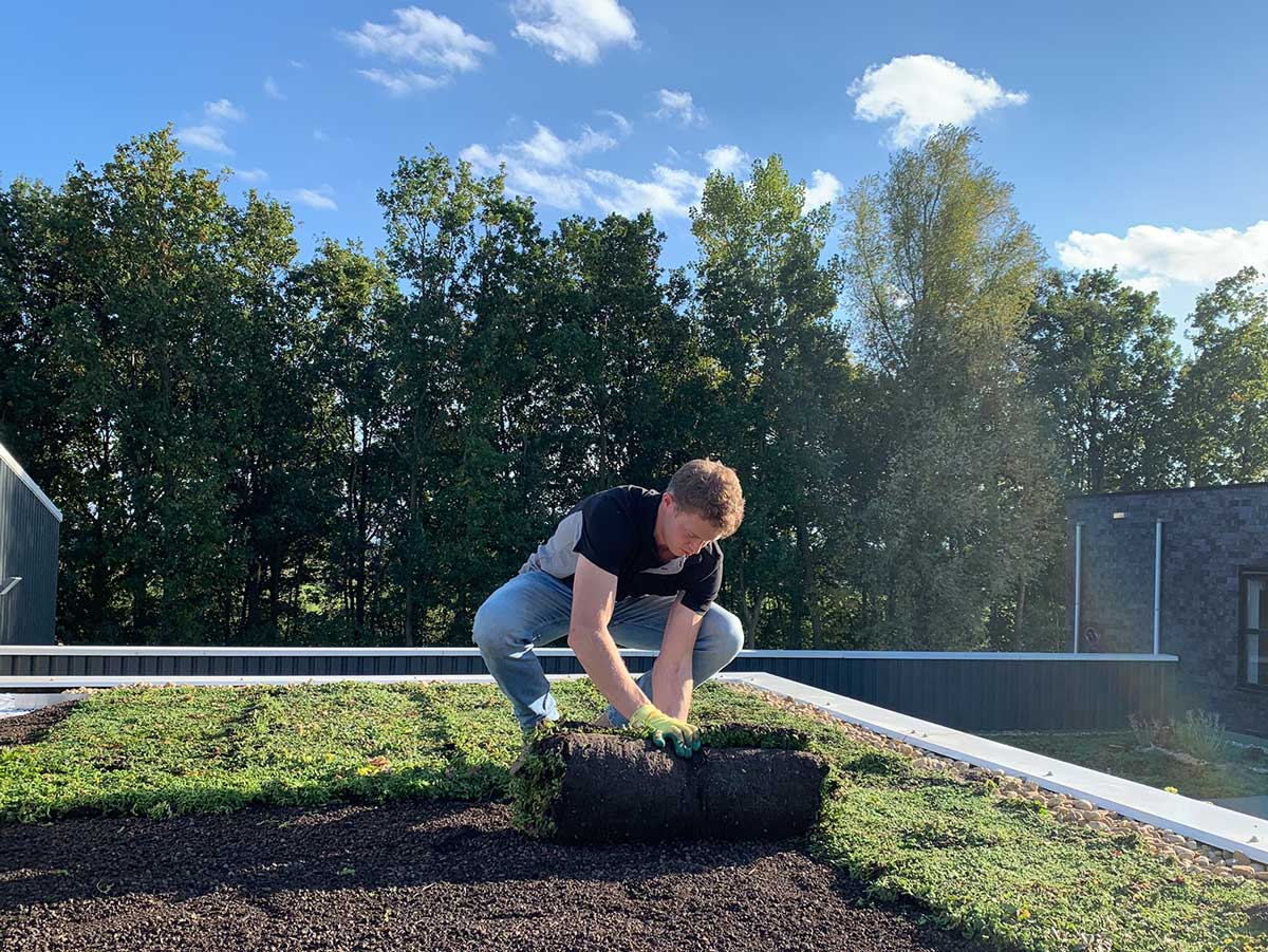 Garagen Set Gründach von AboutGreen kaufen