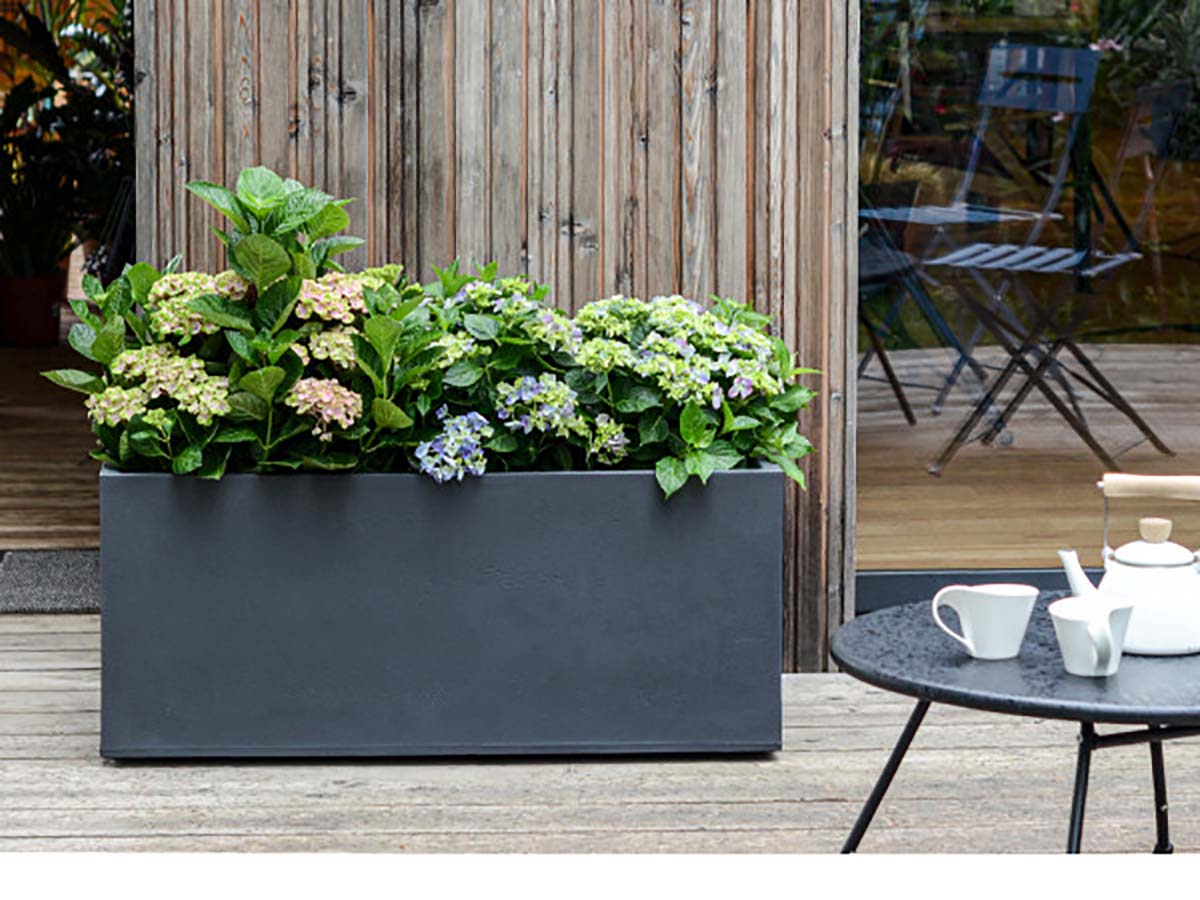 Pflanzkasten Betonoptik günstig online kaufen – AboutGreen