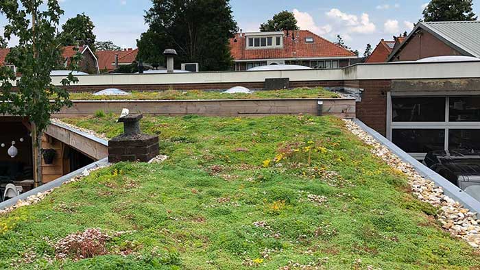 gründach dünger kaufen Dünger Sedum online kaufen – AboutGreen