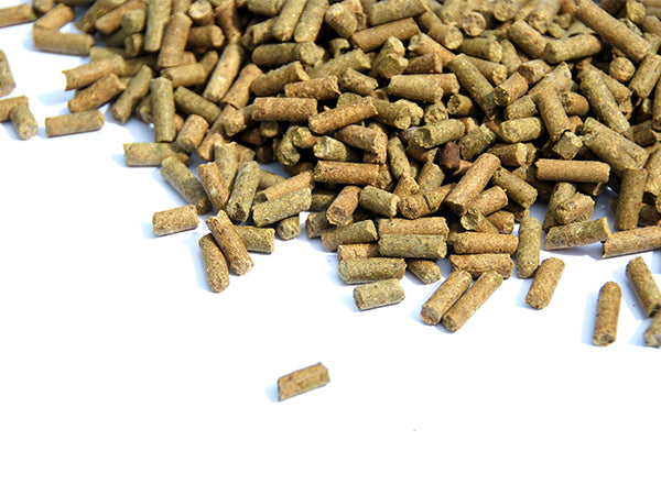 Dünger Sedum